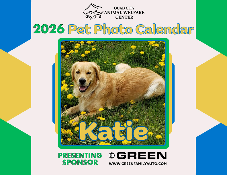 Qcawc calendar cover 2026